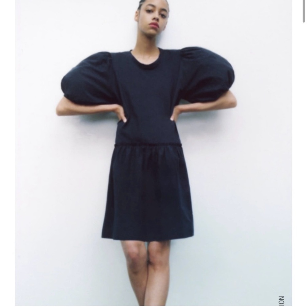 Zara Chic Black Puff Sleeve Mini Dress